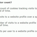 What is the unique visitor count?